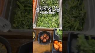 野菜もりもり🥦🥬🫚🫛 #韓国 #韓国学食 #とある日の学食イン韓国 #학식 #학생식당 #점심 #koreanfood