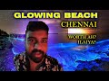 BLUE Bioluminescent BEACH Chennai | உயிர் ஒளிர்வு | கடற்கரை |  ECR beach | Nature | Night Activity