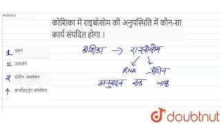 कोशिका में राइबोसोम की अनुपस्थिति में कौन-सा कार्य संपदितहोगा । | CLASS 9 | कोशिका-जीवन की आधारभ...