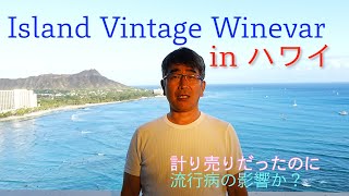 【りく道中】ハワイ Island Vintage Winevarで食事