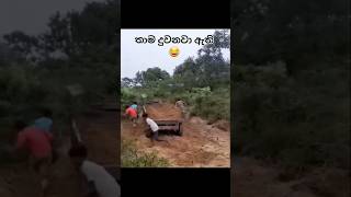 කැත වැඩ කරන්න එපා යකූ #foryou #funnymoments #viralvideochallenge #New #News #Sinhala #Srilanka