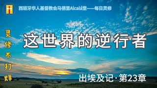 【灵修不打烊！《这世界的逆行者》出23章】