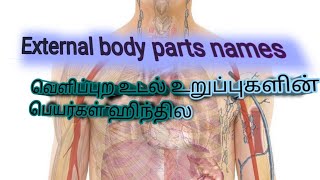 External body parts names in hindi,வெளிப்புற உடல் உறுப்புகளின் பெயர்கள் ஹிந்தில........