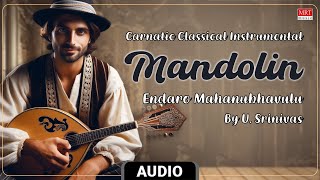 Carnatic Classical Instrumental |Endaro Mahanubhavulu On Mandolin |Nenendu Vedakudura |By U.Srinivas