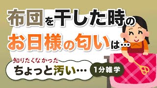 【マジ？】ちょっと汚い知りたくなかった雑学 #汚い #雑学 #1分雑学 #豆知識 #雑学聞き流し