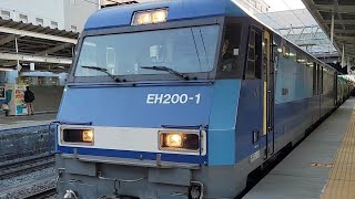 【EH200形】ブルサン×トプナン【貨物列車】