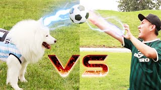 A funny soccer competition with dog！