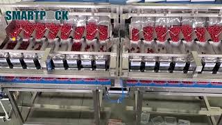 Blueberry Packing Machine