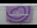 March for Babies event helps fund premature birth research