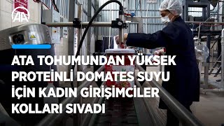 Ata tohumundan yüksek proteinli domates suyu için kadın girişimciler kolları sıvadı