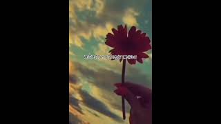 Witt Lowry-Into your arms whatsapp status || #wittlowry #Into_your_arms #new #shorts #wpstatus 🖤