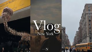 - NY vlog - 雨の日でも充実♪アメリカ自然史博物館で過ごす休日・話題のミュージカルを鑑賞