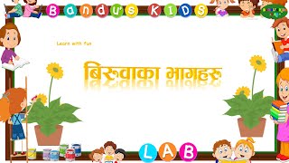 बिरूवाका भागहरू ।। Parts of Plant in Nepali with Bandu's Kids LAB