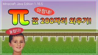 8분 동안 파이값 표지판에 적기! | 마인크래프트 JE 1.16.5