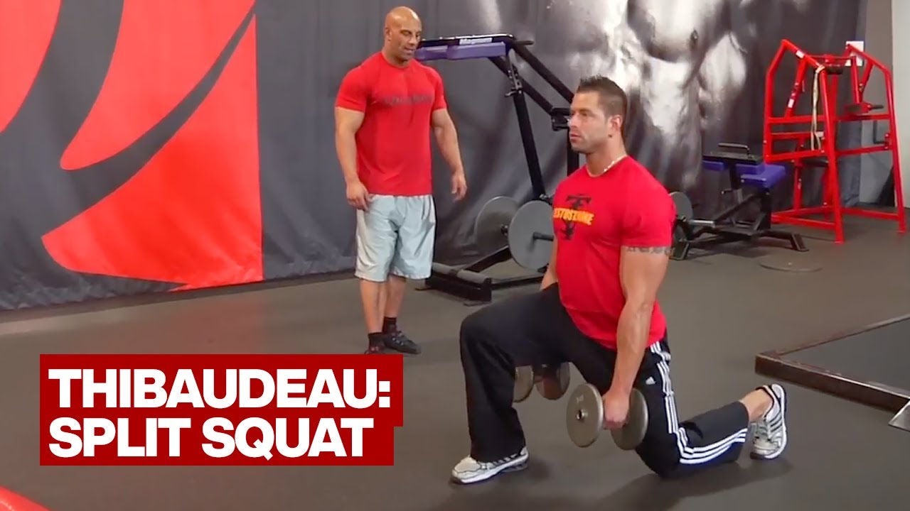 Split Squat Youtube