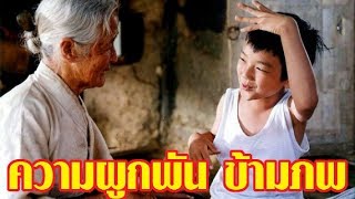 ความผูกพัน จากอดีตชาติ  (คำสัญญาข้ามภพ ภาค2)