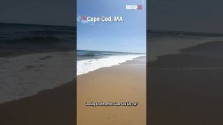 How to spend the perfect day on Cape Cod