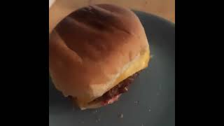 Le Hamburger Pédophile