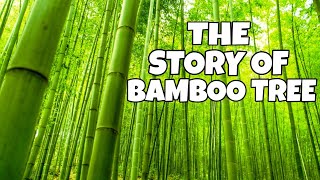 Morning Motivation | The Story Of Bamboo Tree
