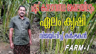 ചൂട് കാലാവസ്ഥയിലും കായ്ച്ചു നിൽക്കുന്ന ഏലം | മെത്തലോ ബാക്റ്റീരിയ റിസൾട്ട്‌ | njaanoru malayali