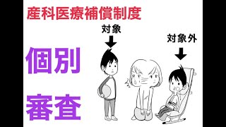 産科医療補償制度　個別審査とは