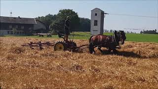 Harvest fever | Harvesting hay and straw with draft horses