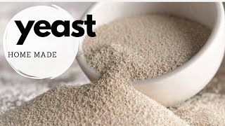 Home made yeast | how to make yeast at home |100% real result for this yeast recipe