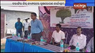 KISS organises tree plantation drive in Balangir || Kalinga TV