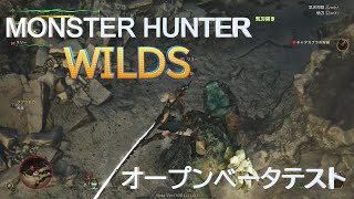 MONSTER HUNTER WILDS オープンベータテスト