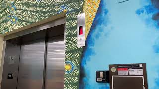 2023: Schindler 5500 Elevator @ Trader Joe’s Miami