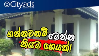 ගන්නවා නමි මෙන්න හිතේ හැටියට ඉන්න නියම ගෙයක් | House for sale in  Angoda