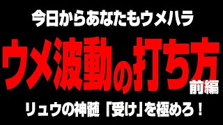 スト5・リュウで勝つ!!第11話 ウメ波動の打ち方/ウメハラ戦法の根幹/ときどのアイスエイジ戦法とは/受けマインドを理解する