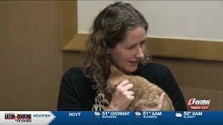 Helping Hands Bone Appetit raises funds to continue care for animals