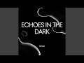 Echoes in the Dark