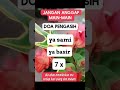 doa pengasih 😇