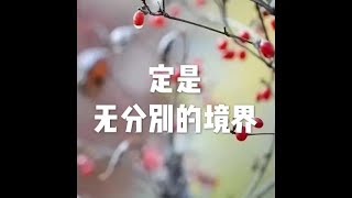 201604 定是无分别的境界21828