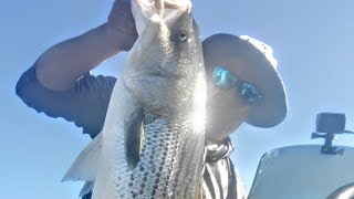 Big topwater rods, reels, baits and cast to catch stripers