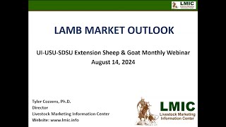 Lamb Market Outlook 2024