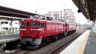 【秋田入場配給】EF81 141+ED75 757 配9146ﾚ