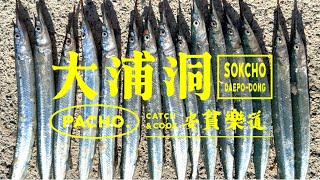 세상에서 가장 쉬운 낚시. 직접 잡은 물고기로 근사한 회를 떠 먹어보자 ! [ Catch & Cook ]