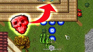 (PK) 53 MS Killed Red Skull! They Wanted To Steal His Loot! (Saphira 2006 - RL Tibia 7.6) Vin'Paz