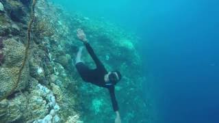 (sumbawaadventour.com) Tanjung munangis underwater wall - free dive in 60 second short clip