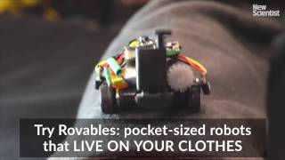 Wearable pet robots