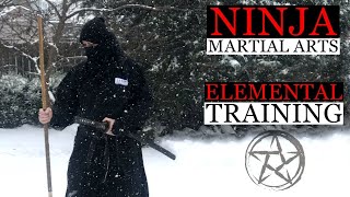 NINJUTSU TRAINING IN THE ELEMENTS OF NATURE 🥷🏻 Togakure Ryu Ninpo Taijutsu Techniques