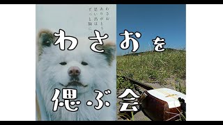 ～感謝とお別れ～『鯵ヶ沢甚句』わさおに捧げる　津軽三味線　Playing Tsugaru Shamisen at nomadic style [Ajigasawa jinku]