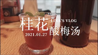 低卡低糖超好喝的【桂花酸梅汤】做起来｜Homemade Chinese traditional Plum Juice