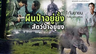 น้อมรำลึก 33 ปี สืบ นาคะเสถียร | สืบทอดเจตนา 1 กันยายน