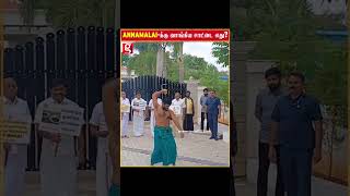 ANNAMALAI-க்கு வாங்கிய சாட்டை இதுவா..? இணையத்தில்பத்திக்கும் Video! | Annamalai