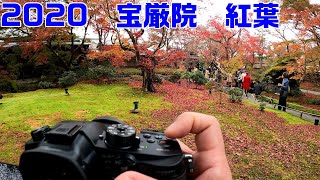 20201125　宝厳院　紅葉　Japan Autumn Leaves