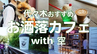 【カフェ巡り】代々木公園に行くならこのカフェがオススメ！/ 愛犬も一緒に連れて行こう！【デートスポット】SONY α7sⅢ vlog